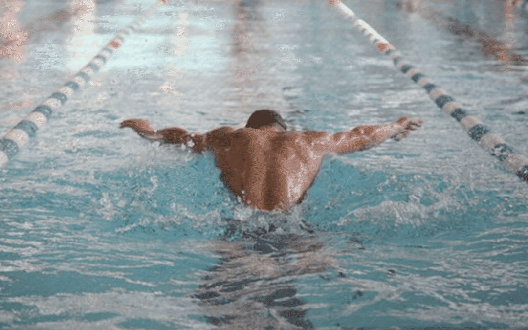 Partenariat Ailes Marines / CLE 22 (Centre labellisé d’entrainement de natation du département des côtes d’Armor)