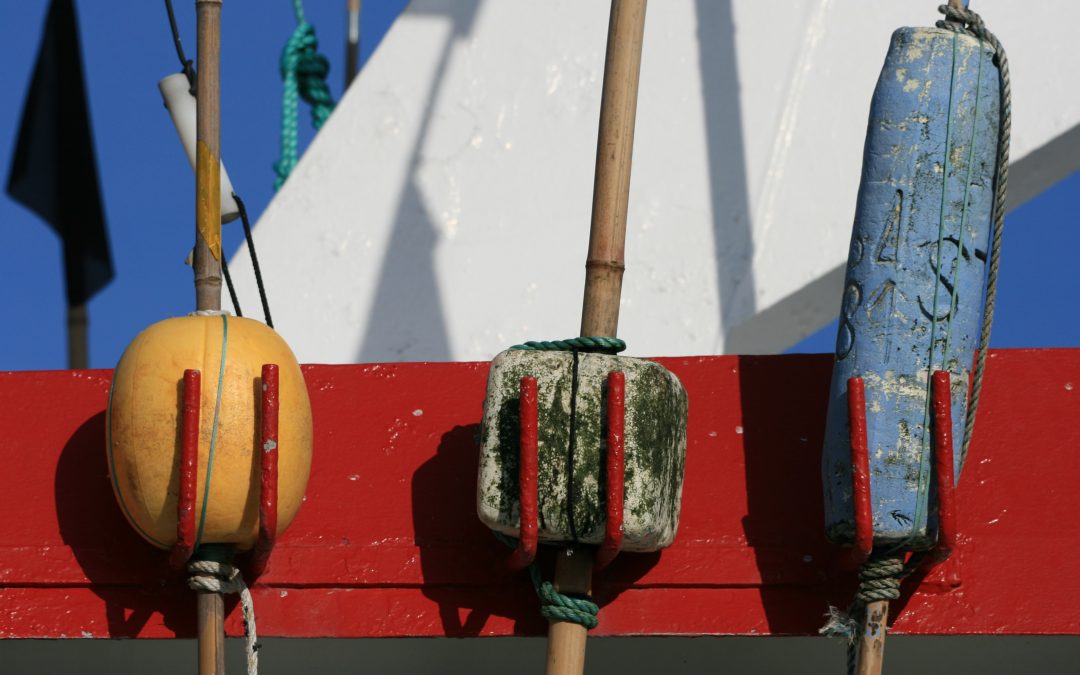 Des compensations pour les pêcheurs professionnels pendant les phases de construction, d’exploitation et de démantèlement du parc